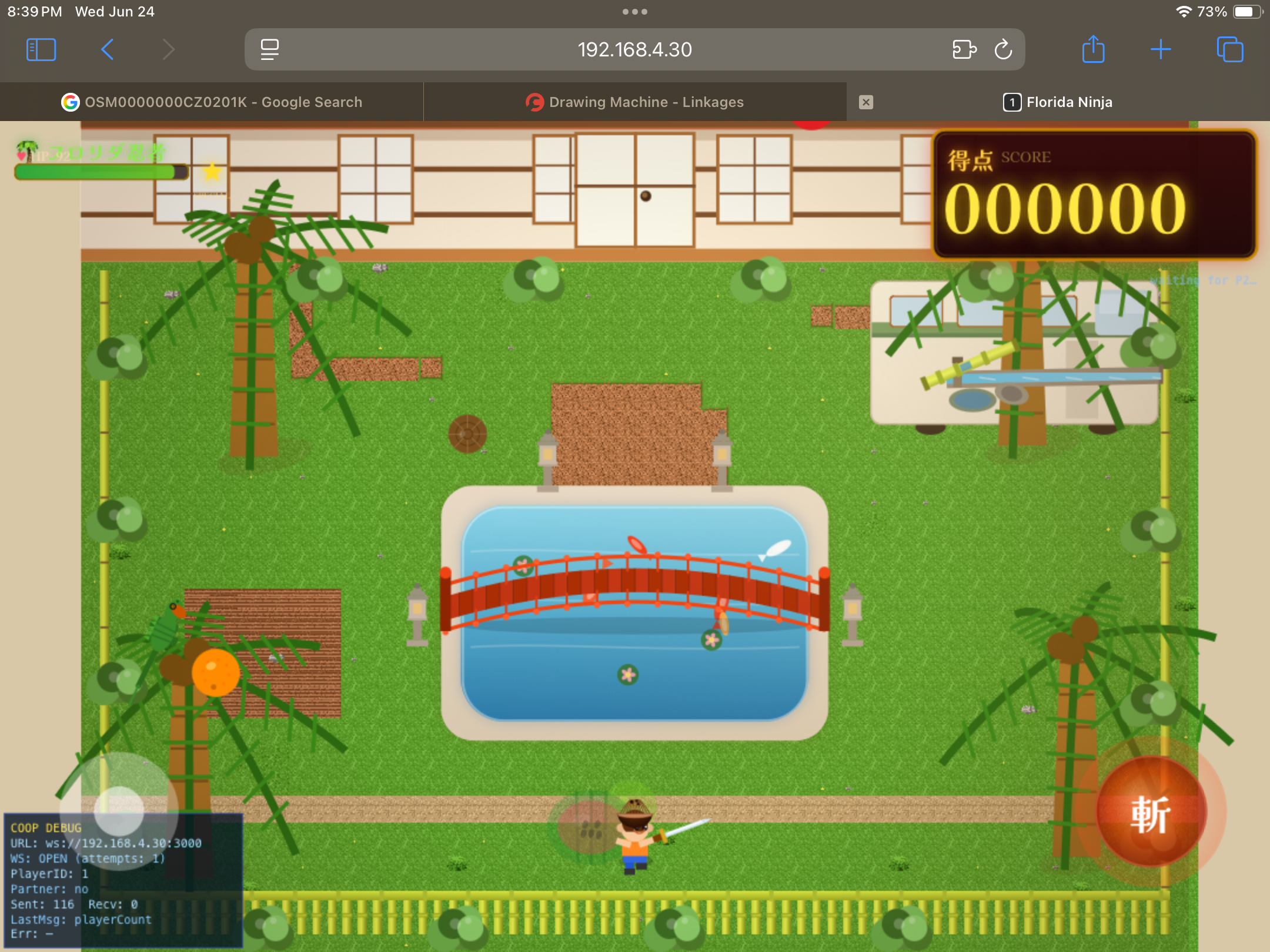 Florida Ninja screenshot